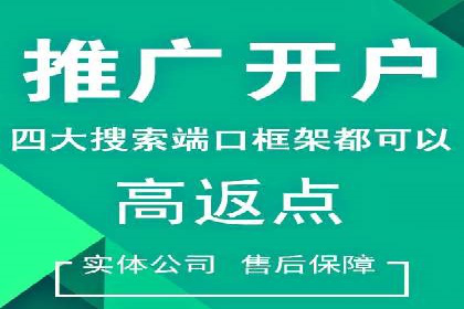 百度竞价运营实战案例分析