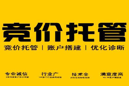 行业领先企业的SEM代运营经验分享